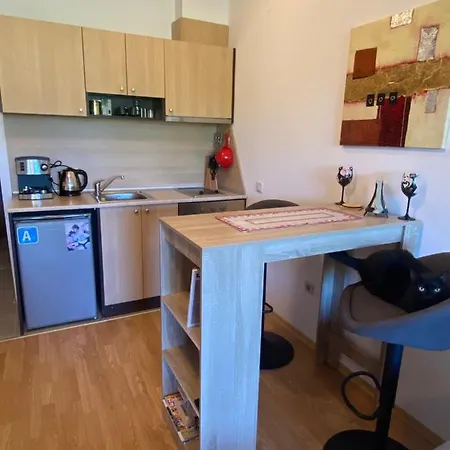 רזלוג Cosy Studios With Mountain View Near Bansko מראה חיצוני תמונה