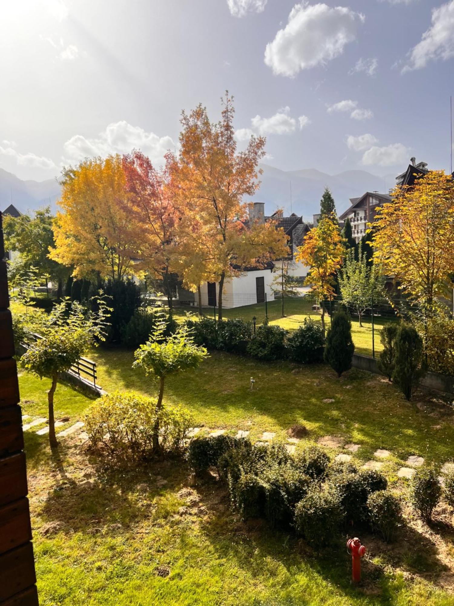 Apartment Cosy With Mountain View Near Bansko *